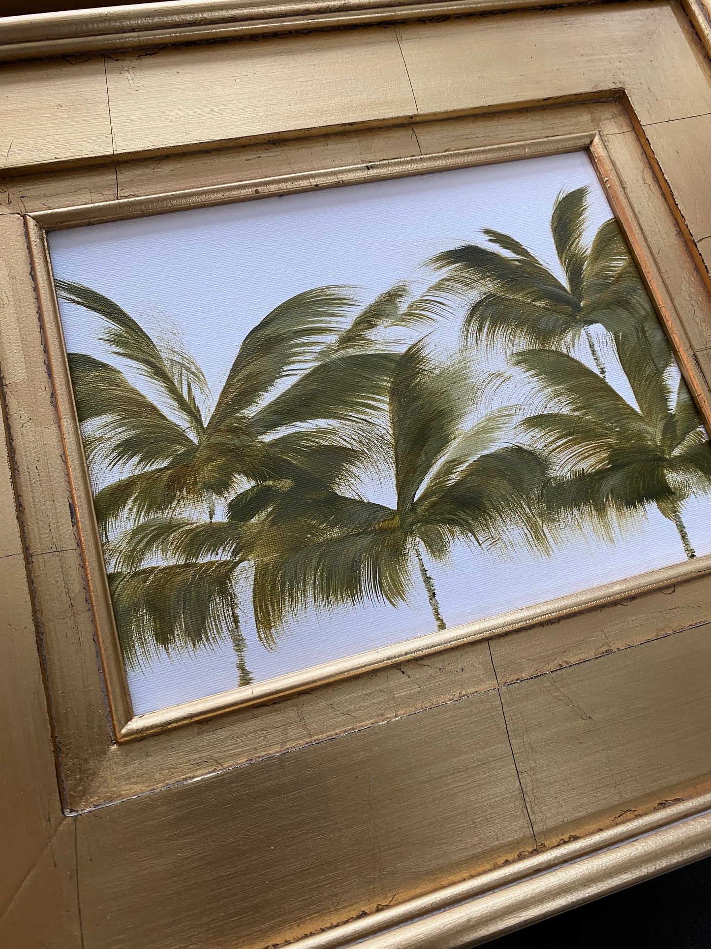 Palm Trees