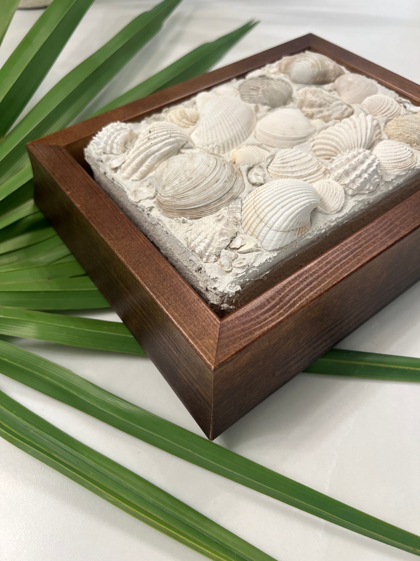 Seashells | Textured Seashell Art