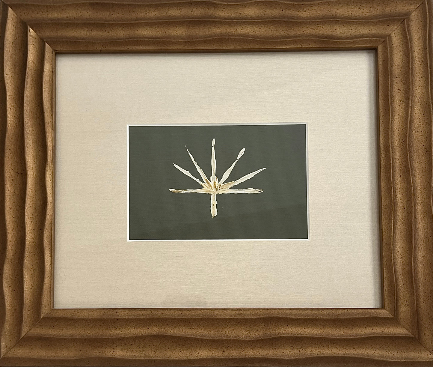 Abstract Fan Palm