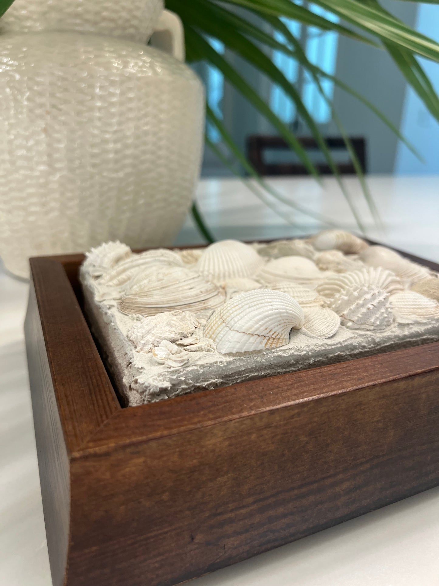 Seashells | Textured Seashell Art