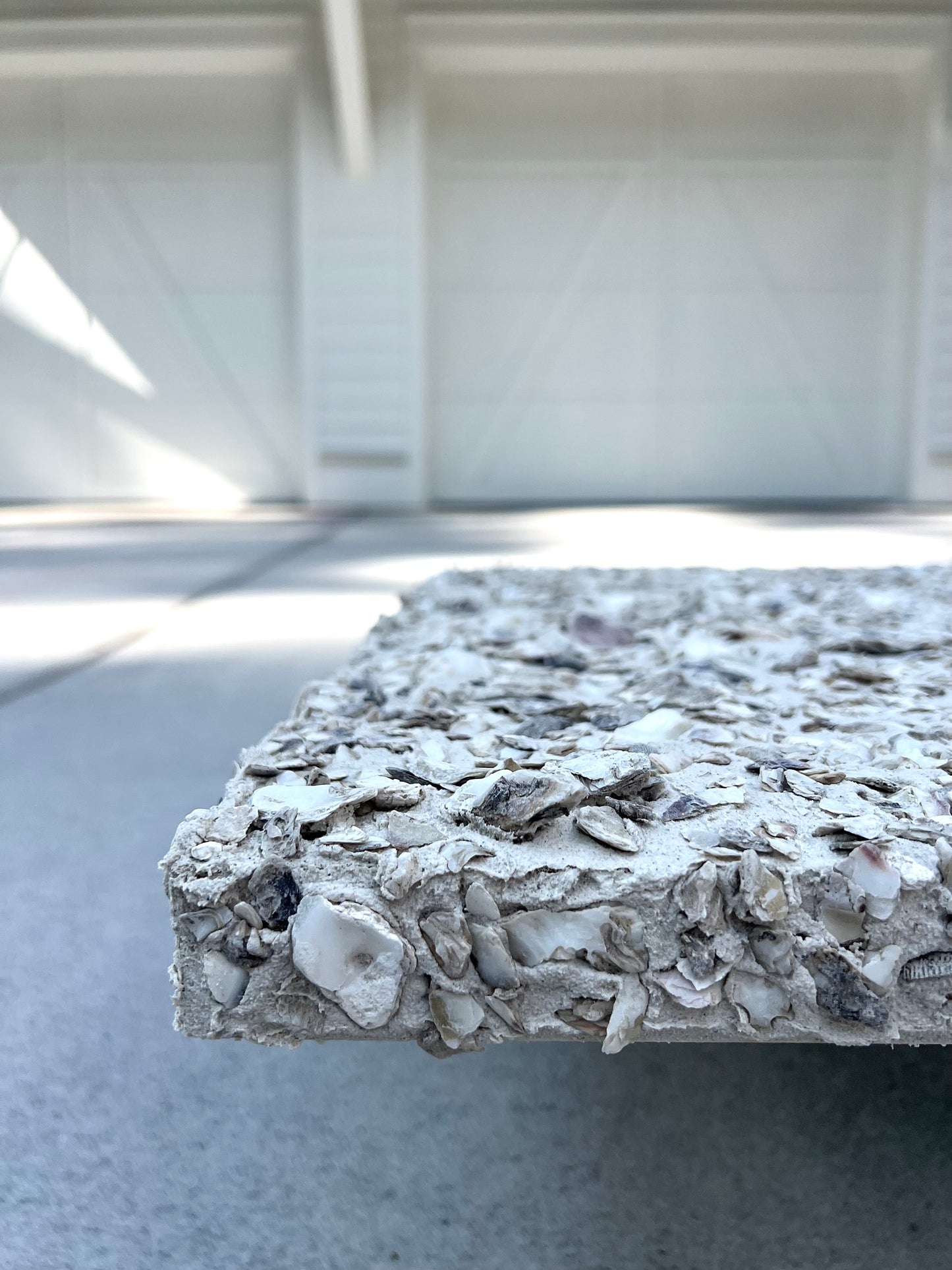 Lowcountry Tabby Shell Collection | Oyster Shells