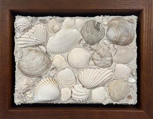 Seashells | Textured Seashell Art