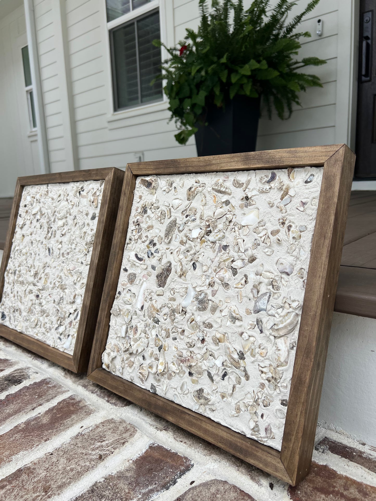 Lowcountry Tabby Shell Collection | Oyster Shells