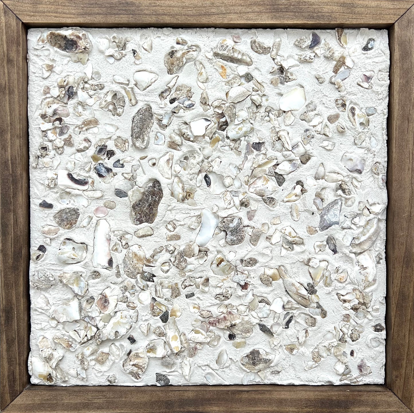 Lowcountry Tabby Shell Collection | Oyster Shells