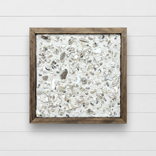 Lowcountry Tabby Shell Collection | Oyster Shells
