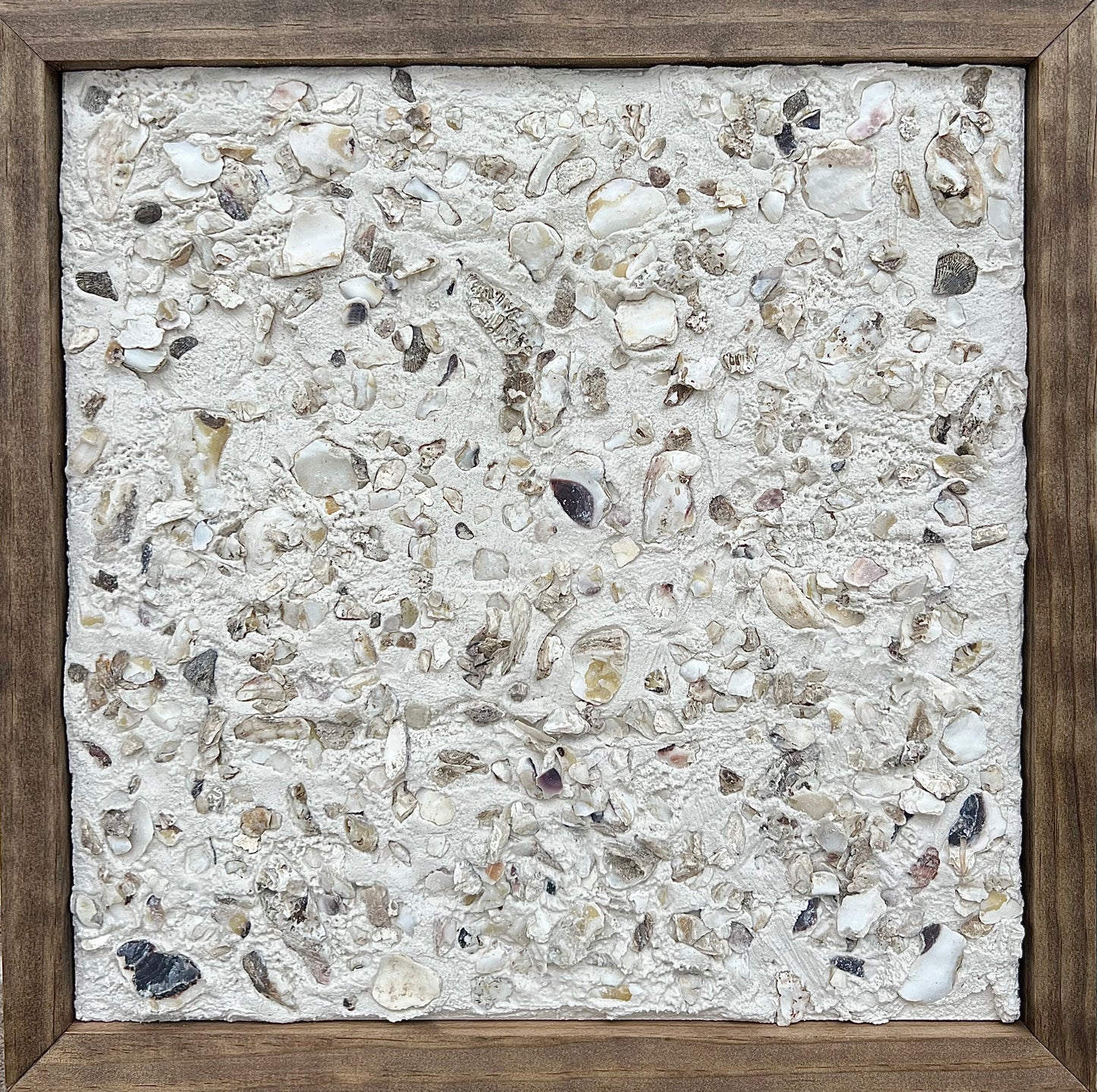 Lowcountry Tabby Shell Collection | Oyster Shells