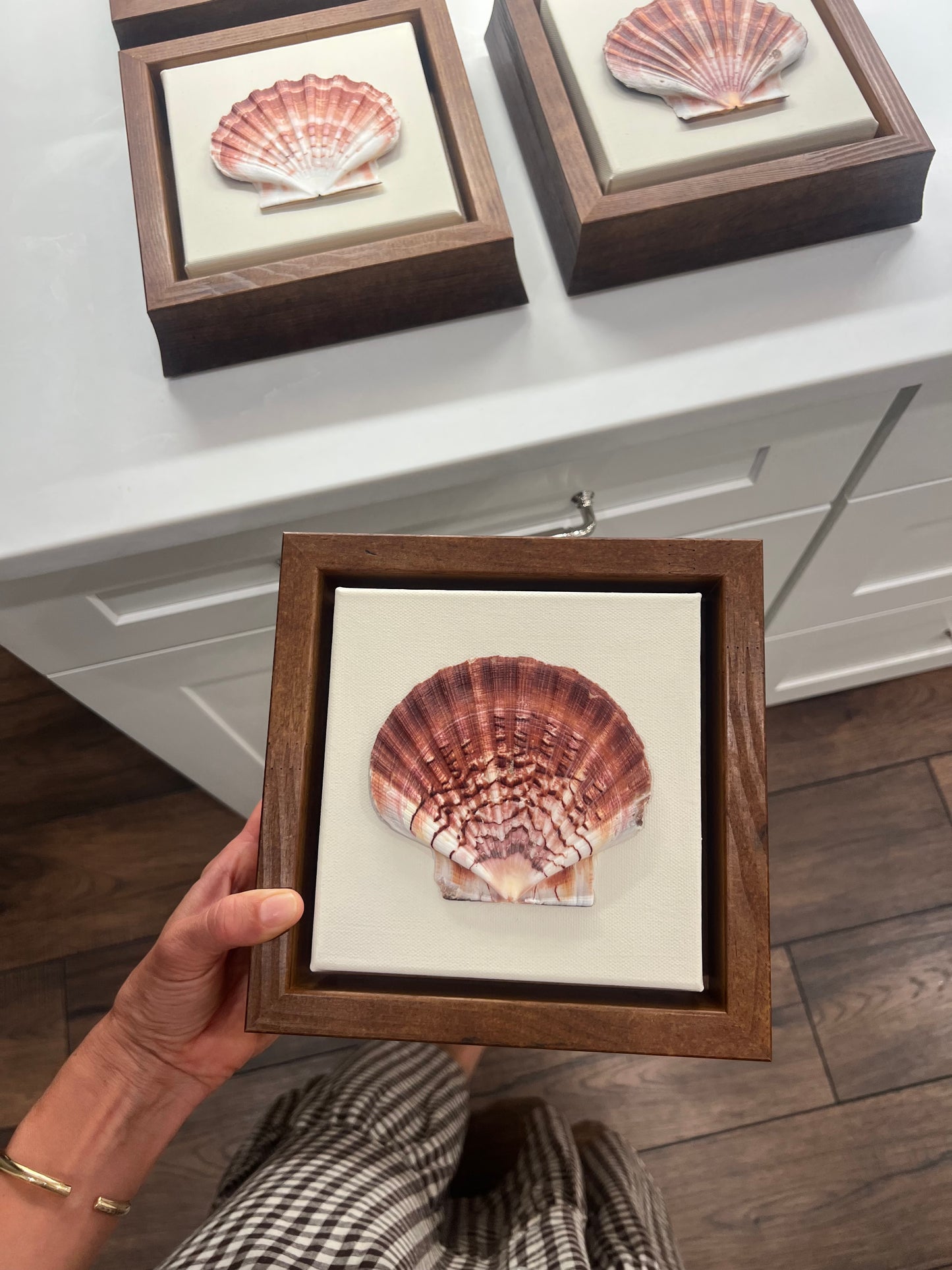 Scallop Shell Artwork | Set of Four |