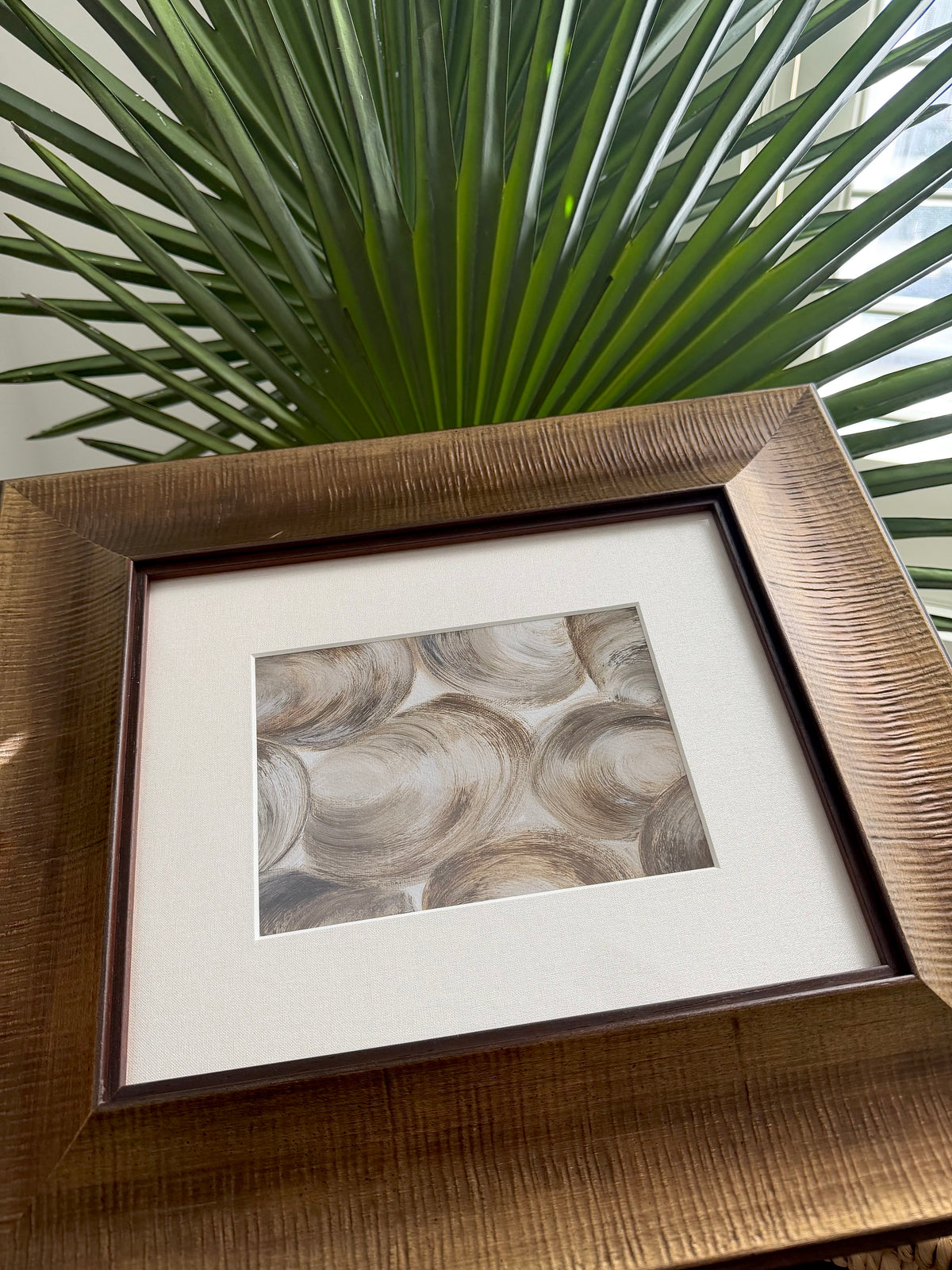 Salty River Clam Shells | Framed Fine Art Print