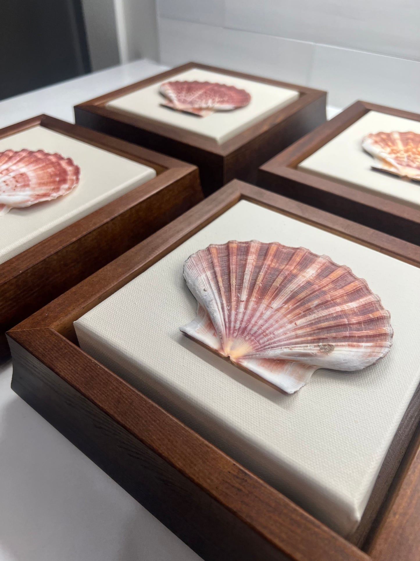 Scallop Shell Artwork | Set of Four |