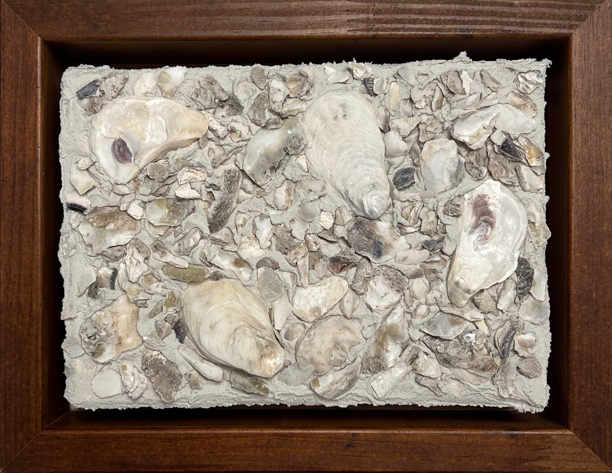 Seashells | Textured Seashell Art