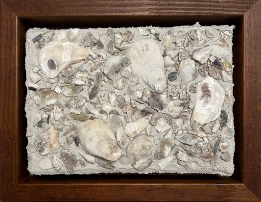 Seashells | Textured Seashell Art