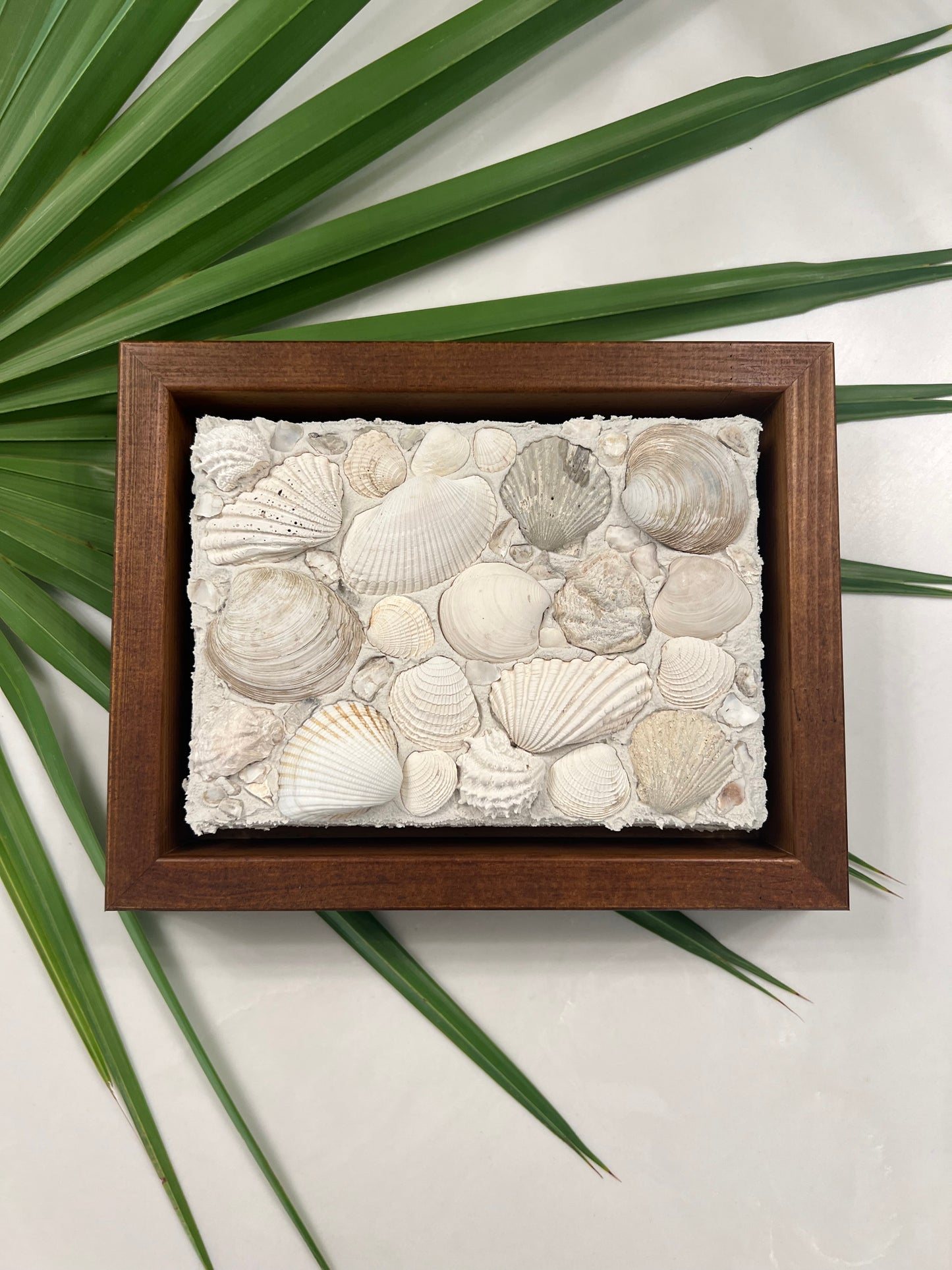 Seashells | Textured Seashell Art